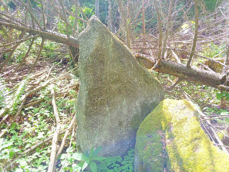 Menhir Králov jen těsně unikl padajícímu smrku.