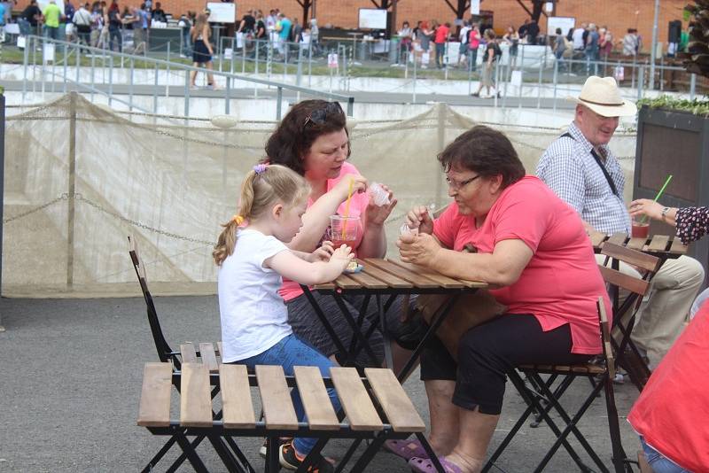 Čtvrtý ročník Rybího festivalu v Dobříši letos navštívilo přes dva tisíce lidí.Podle organizátorů akce jich letos přišlo výrazně méně, než v loňském roce.