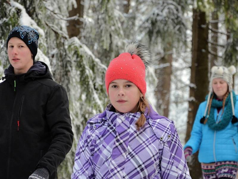 Výstup na Prahu 2016. Pěšky, s kočárkem i na saních. Tak v sobotu lidé zdolávali výstup na „Pražák". Brdský vrchol u Nepomuka si potřinácté vyšláplo více než dva tisíce nadšenců.