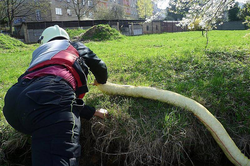 cvičení hasičů a kondiční jízdy