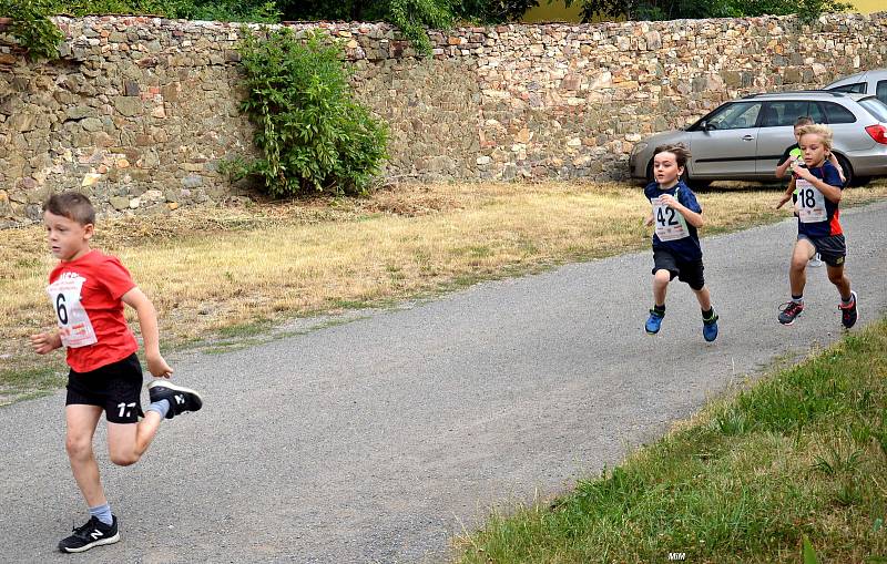 Již posedmnácté se konal v neděli 7. července běh do vrchu Lochovice - Plešivec.