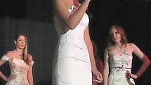 Miss Příbramska 2010.