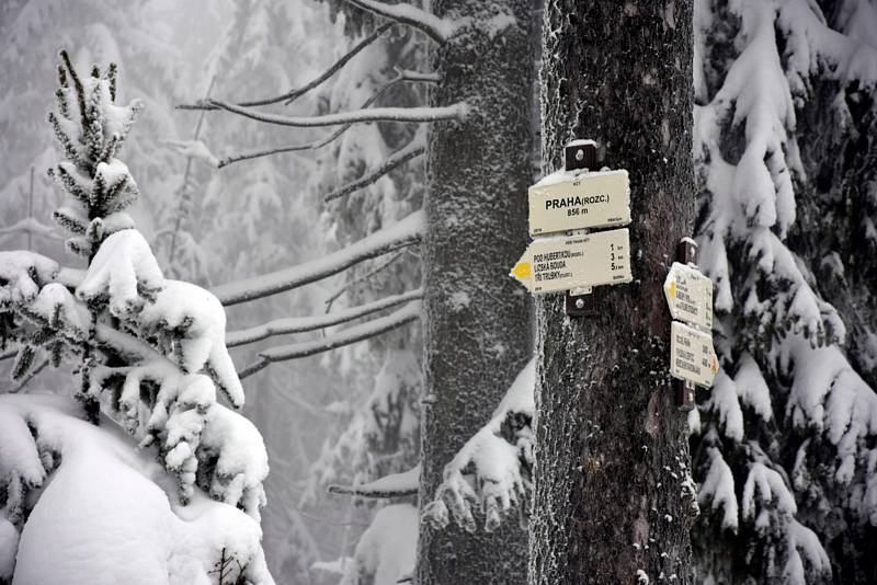 Čím výše účastníci stoupali, tím bylo okolí krásnější, v lese bylo téměř 50 centimetrů sněhu.Na Pražáku na příchozí čekaly medaile, červené razítko, pečení buřtíků a teplé alkoholické i nealkoholické nápoje.