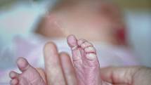 První středočeské miminko roku 2022, Adélka vážící 4 kilogramy.