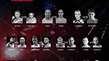 V Příbrami proběhne galavečer MMA GCF 50: CAGE FIGHT Příbram.