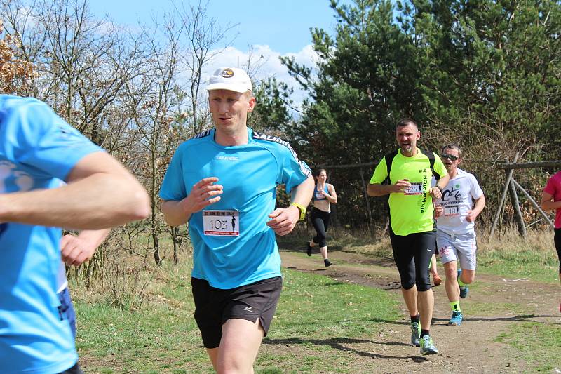 Dobříš - Hezké slunečné počasí vylákalo běžce a ti si zazávodili v sobotu 14. dubna v Dobříši. Jarní běh a Stomatologický běh prověřil běžeckou zimní přípravu na trase 4,2 a 8,4 kilometru.