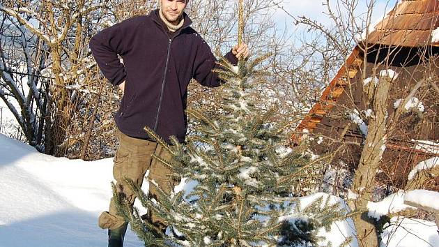 Prodejce vánočních stromků Michal Bernard drží smrk pichlavý
