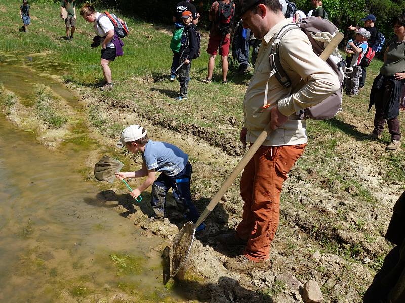 Při dopolední komentované vycházce děti mimo poslouchání výkladu navíc přenosily tisíce pulců z vysychající kaluže do větší a zachránily je tak.