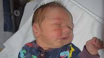 Kryštof Šimák se narodil 23. února 2020 v Táboře. Vážil 3,35 Kg a měřil 48 cm. Doma ve Veletíně syna přivítali maminka Lenka, tatínek Martin a bratr Artur.