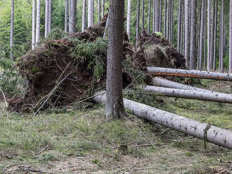 Následky přechodu hluboké tlakové níže Eberhard v lesích na Příbramsku.