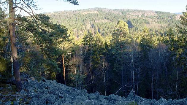 Krajina Středních Brd.