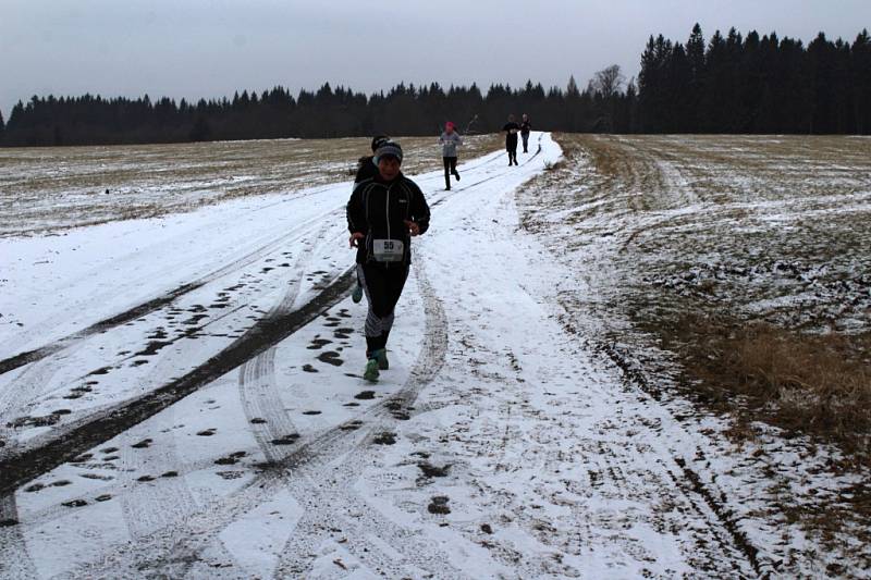 Běžecký závod Turuj Brdy chřipka příliš neovlivnila