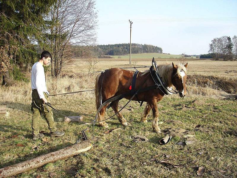 Lukáš Kozma při práci v lese.