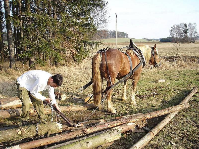 Lukáš Kozma při práci v lese.