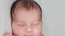 Viktorie Šťastná. Narodila se 4. února 2020 v Příbrami. Vážila 3,39 kg a měřila 53 cm. Doma v Bělé pod Bezdězem ji přivítali maminka Nikola a tatínek Viktor.