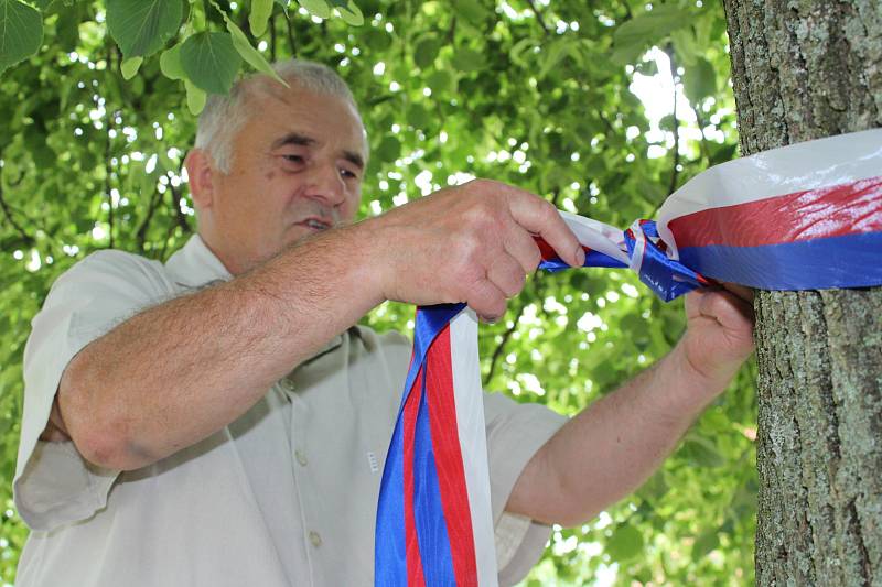 Lípa v Bratkovicích se dostala mezi 12 finalistů ankety Strom roku. Při slavnostním focení a šerpování získala vylosované pořadové číslo 6.