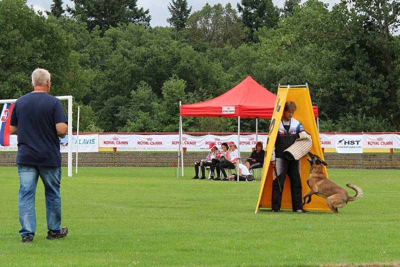 Letos se konal v Dobříši již 12. ročník Mezinárodního kynologického festivalu CACIT.