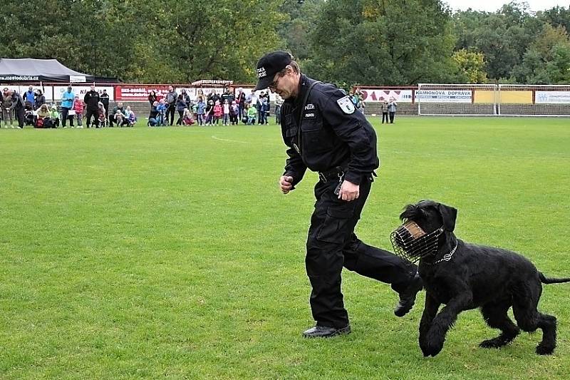 Odpoledne s integrovanými složkami v Dobříši. 