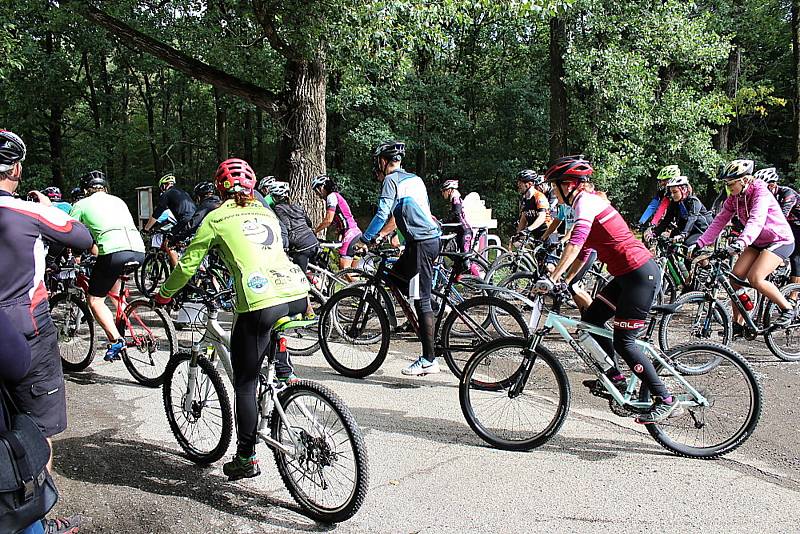 Pátý ročník MTB maratonu Brdmanův pařez pro amatérské cyklisty.