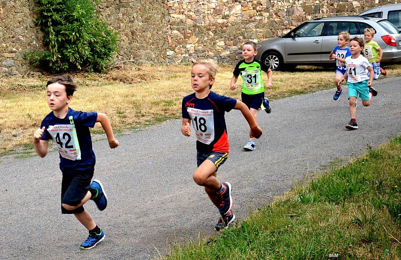 Již posedmnácté se konal v neděli 7. července běh do vrchu Lochovice - Plešivec.