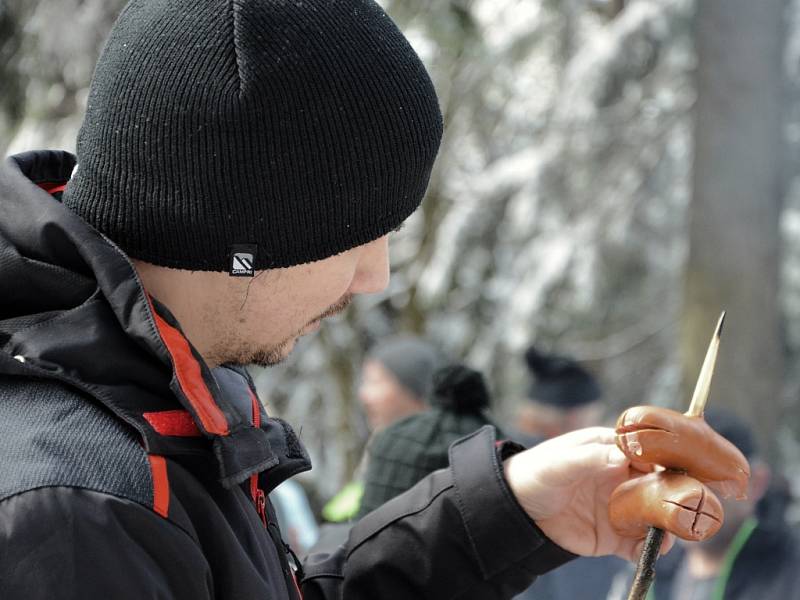 Výstup na Prahu 2016. Pěšky, s kočárkem i na saních. Tak v sobotu lidé zdolávali výstup na „Pražák". Brdský vrchol u Nepomuka si potřinácté vyšláplo více než dva tisíce nadšenců.