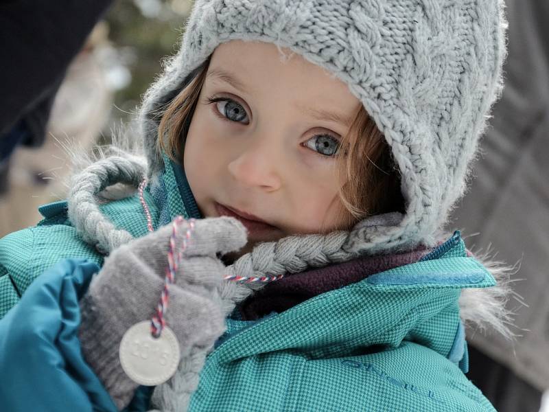 Výstup na Prahu 2016. Pěšky, s kočárkem i na saních. Tak v sobotu lidé zdolávali výstup na „Pražák". Brdský vrchol u Nepomuka si potřinácté vyšláplo více než dva tisíce nadšenců.