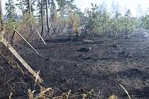 Požár zachvátil lesní porost u obce.