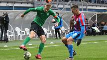 Zápas 22. kola FORTUNA:LIGY Viktoria Plzeň - 1. FK Příbram.