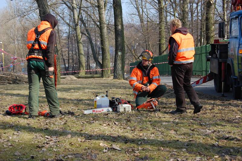 Revitalizace v Milínské ulici a okolí Nového rybníku