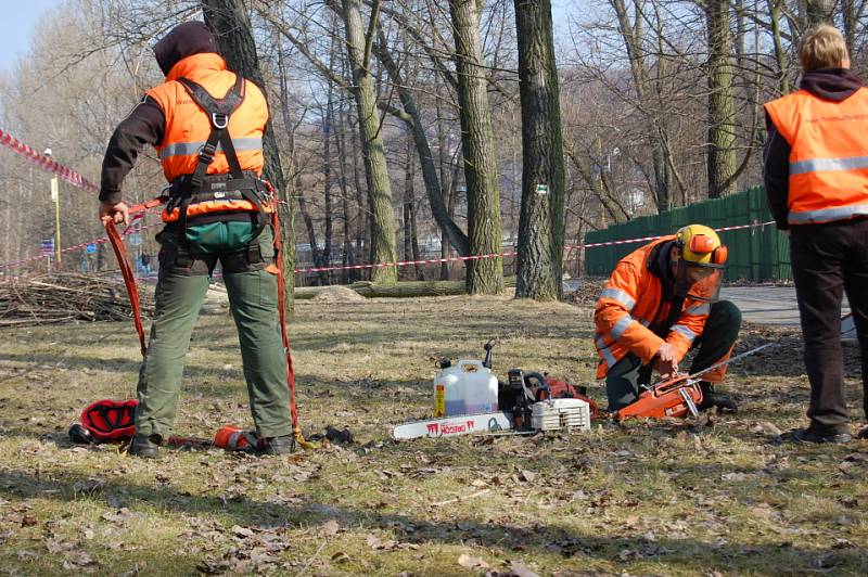 Revitalizace v Milínské ulici a okolí Nového rybníku