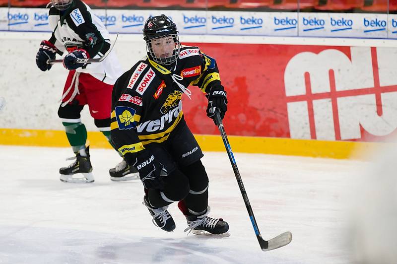 Hokejistky HC Příbram porazily v 7. kole extraligy Litvínov 10:3.