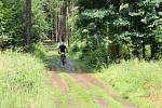 V neděli se v obci Pičín pořádal tradiční cyklo závod horských kol. Letos již 15. ročník.