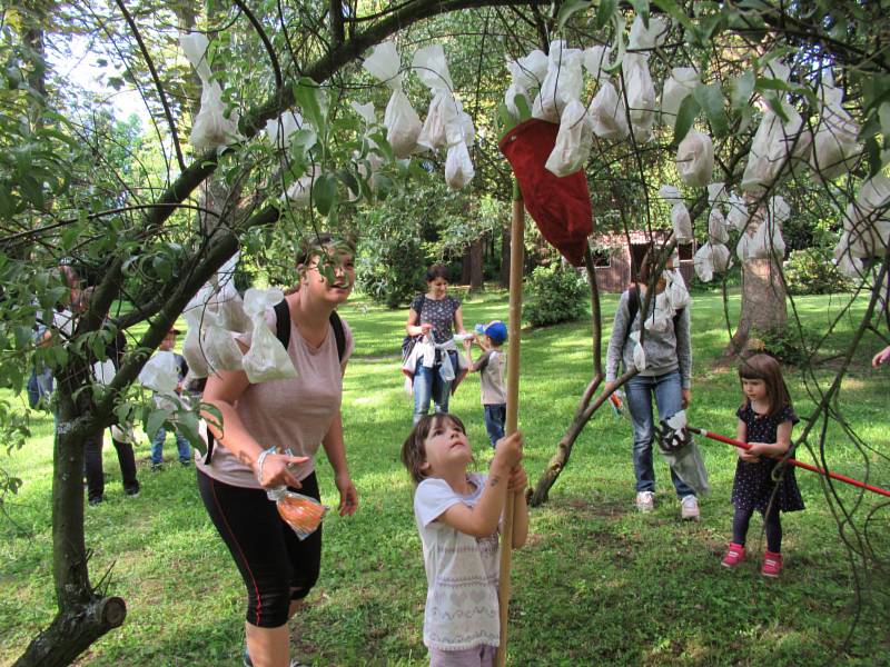 Jedno slunečné odpoledne na konci května se děti z Mateřské školy Kličkova vila vypravily se svými rodiči na cestu do pohádkového lesa, kde je čekalo obrovské dobrodružství.