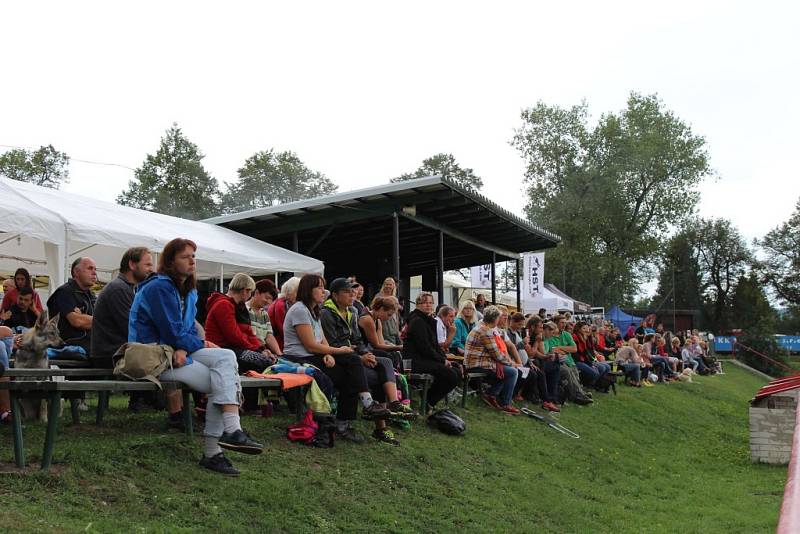 Letos se konal v Dobříši již 12. ročník Mezinárodního kynologického festivalu CACIT.