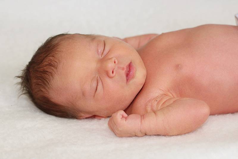 Carmen Izabela Hamburgová se narodila 12. ledna 2023 v Příbrami. Vážila 2320 g a měřila 44 cm. Doma ve Vimperku ji přivítali maminka Denisa a tatínek Tomáš.