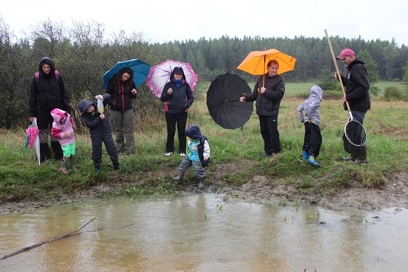 Z komentované vycházky za přírodou Brd.