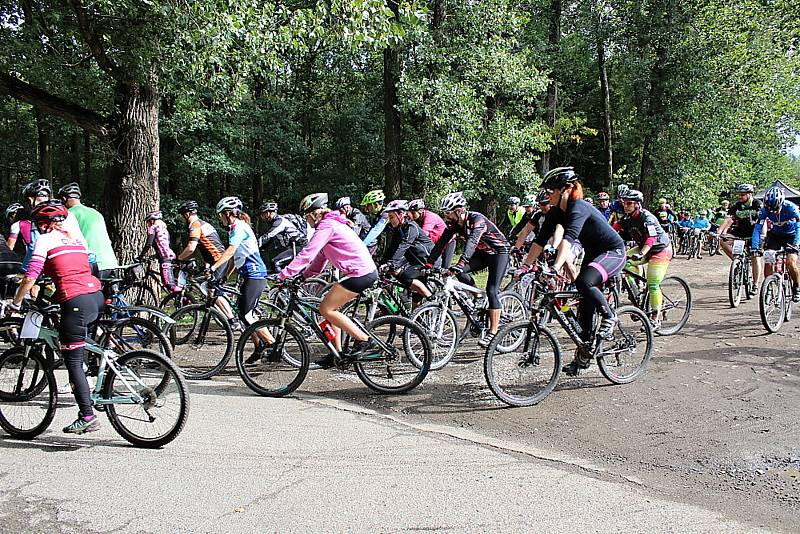 Pátý ročník MTB maratonu Brdmanův pařez pro amatérské cyklisty.