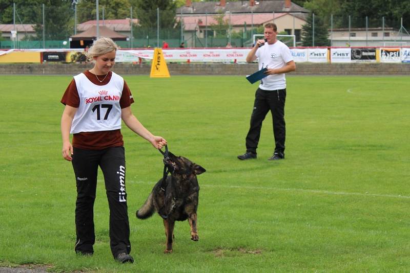 Letos se konal v Dobříši již 12. ročník Mezinárodního kynologického festivalu CACIT.