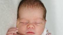Patricie Horká se narodila 25. května 2022 v Příbrami. Vážila 2940g a měřila 47cm. Doma v Rosovicích ji přivítali maminka Aneta, tatínek Petr a tříletá Adrianka.