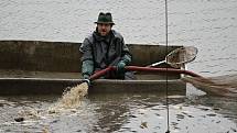 Výlov začínal kolem sedmé hodiny a během dopoledne proběhl i druhý zátah sítí. S blížícím se polednem proud lidí mířící na hráz rybníka neustával, přicházely i rodiny s kočárky.