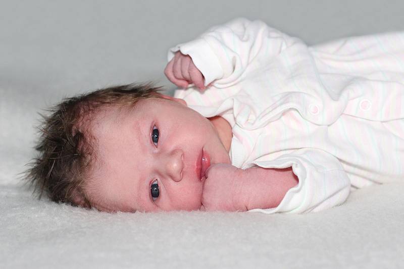 Karolína Musilová se narodila 14. listopadu 2019 v Příbrami. Vážila 3680 g a měřila 52 cm. Doma v Sedlčanech ji přivítali maminka Petra, tatínek Radek a sourozenec dvouapůlroční bratr Radek.