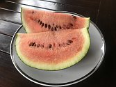 Pěstitelka na fotografiích zachytila postup růstu melounů až ke sladké a šťavnaté dužině.