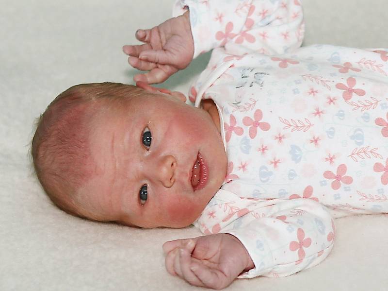 Natali Drmlová se narodila 6. srpna 2022 v Příbrami. Vážila 3340 g a měřila 50 cm. Doma ve Staré Huti ji přivítali maminka Kateřina a tatínek Dan.