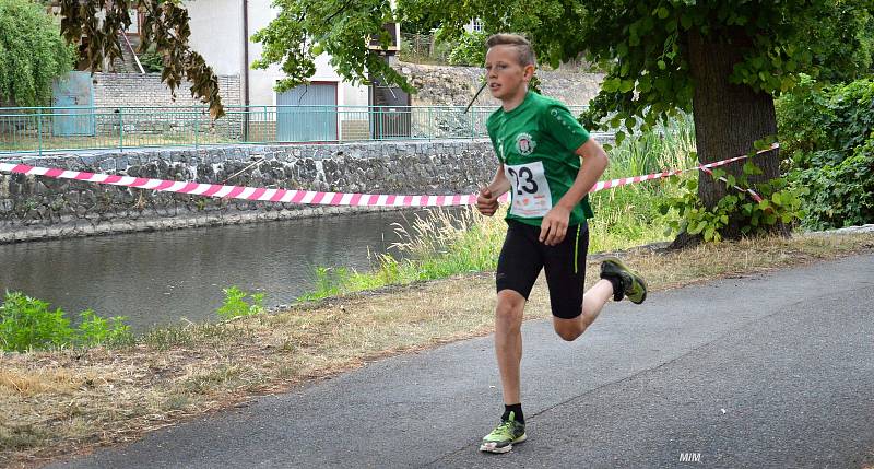 Již posedmnácté se konal v neděli 7. července běh do vrchu Lochovice - Plešivec.