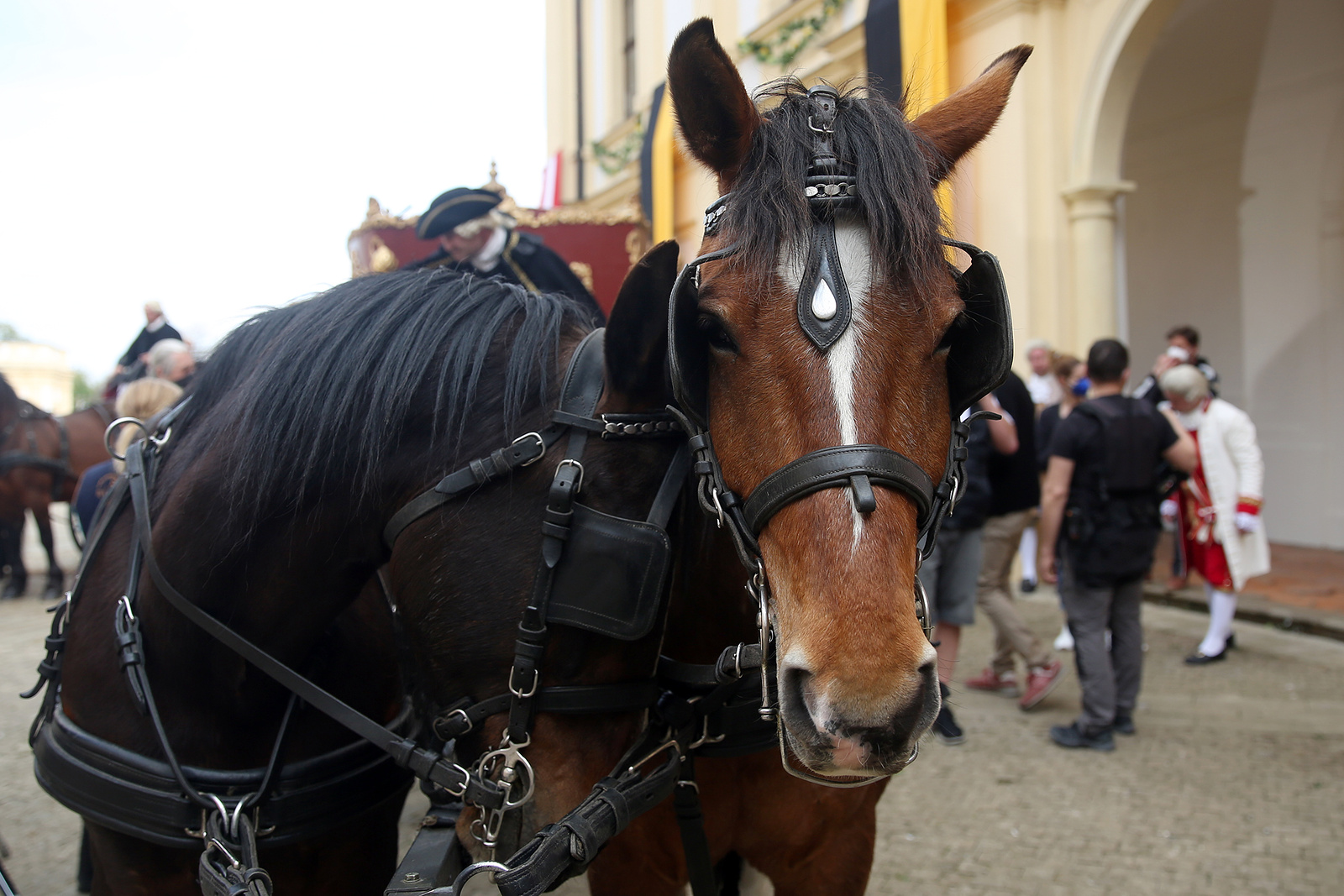 Chotilské muzeum potěší milovníky filatelie a koní. Připravuje pestrou  výstavu - Příbramský deník