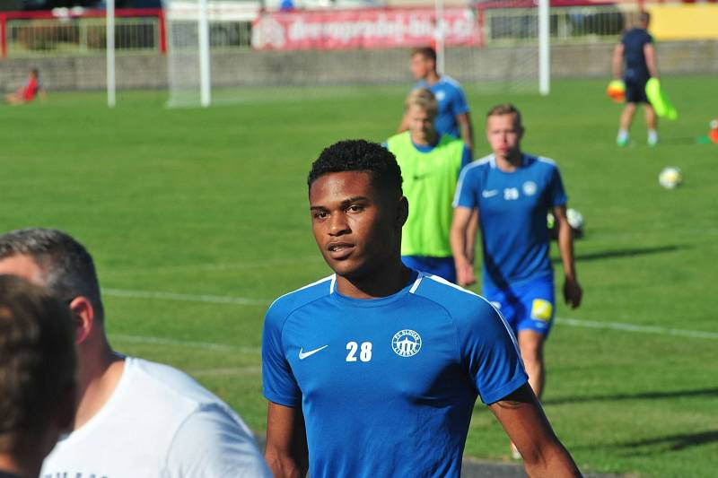 Stadion V Lipkách v Dobříši zažil ve středu v podvečer fotbalový svátek. K utkání 2. kola českého poháru MOL Cup sem přijel prvoligový tým Slovan Liberec.