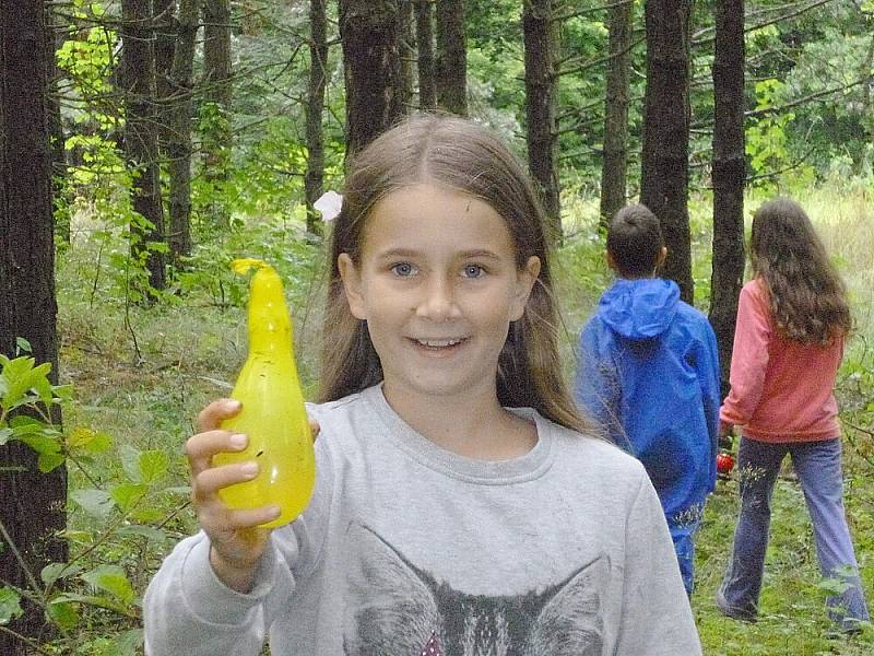 Účastníci příměstského tábora v záchranné stanici v Hrachově.