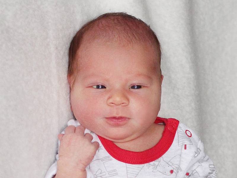 Emily Kebrlová se narodila 22. února 2020 v Příbrami. Vážila 3,74 kg a měřila 53 cm. Doma ve Věšíně ji přivítali maminka Nikola a tatínek Tomáš.