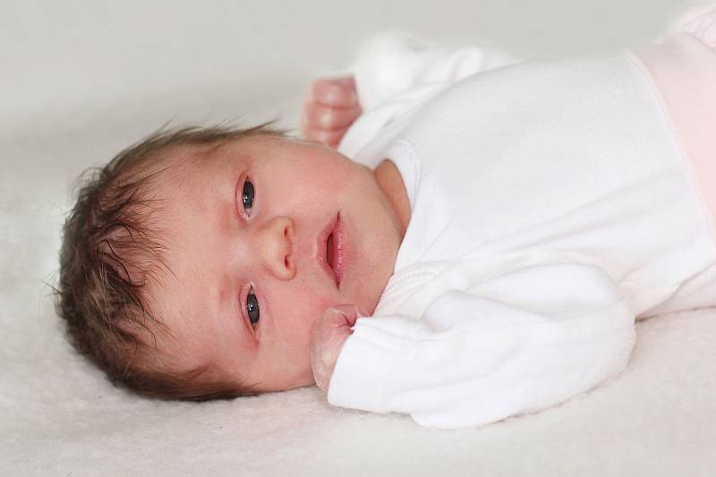 Alena Váňová se narodila 9. listopadu 2022 v Příbrami. Vážila 3140 g a měřila 47 cm. Doma v Sedlčanech ji přivítali maminka Markéta, tatínek Jakub a čtyřletá Anežka.