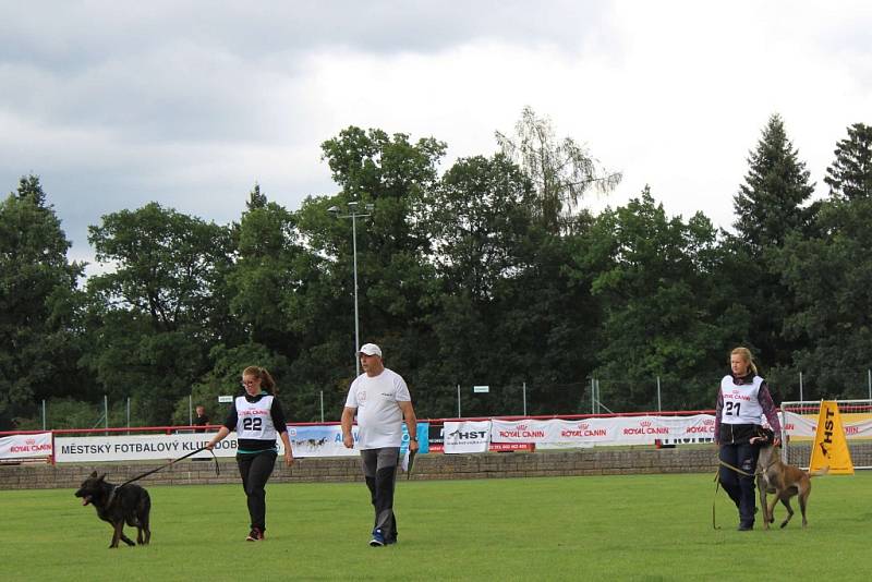 Letos se konal v Dobříši již 12. ročník Mezinárodního kynologického festivalu CACIT.